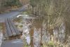 Beringen - Bevers thuis in Beringen