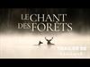 Pelt - Zebracinema: Le Chant des forêts
