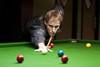 Neerpelt - Enbild wint snookerderby