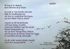 Leopoldsburg - Ik leg je te slapen