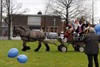 Overpelt - Sinterklaas in Holheide