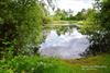 Hechtel-Eksel - Afwateringsplas groeide uit tot groene oase