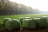 Lommel - Gisteren gezien...