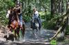 Hamont-Achel - Paarden zoeken verkoeling in de Prinsenloop