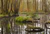 Bree - Het Grootbroek krijgt meer ruimte voor water