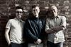 Pelt - Noord-Limburgs trio in kathedraaltoren Antwerpen