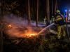 Bocholt - Bosbrand in Kaulille snel onder controle