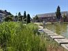 Hamont-Achel - Hamont-Achel toont groene ambities aan jury