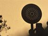 Pelt - Eclips duikt op in vergiet en water