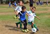 Pelt - Geslaagde Breugel Cup 2026