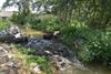 Beringen - Natuurherstel langs Paalse Plas