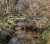 Hechtel-Eksel - Twee infomomenten over natuurherstel Dommelvallei