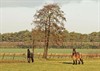 Lommel - Vandaag gezien...