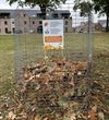 Hechtel-Eksel - Vanaf 15 oktober opnieuw bladkorven