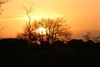 Neerpelt - Zonsondergang op het Hageven