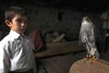 Neerpelt - Vanavond in Zebracinema: 'Bal'