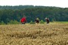 Hamont-Achel - Morgen in Ciné Walburg: 'Les Géants'