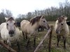 Oudsbergen - Met de groeten uit het Maasland