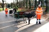 Lommel - Met de groeten uit... Schaarbeek