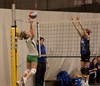 Hamont-Achel - Dames kadetten van AVOC verliezen