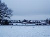 Overpelt - Sneeuw op de Riet