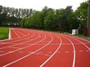 Neerpelt - IAAF-erkenning voor Nacht v/d Euregio