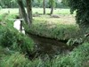 Neerpelt - Vandaag gezien