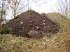 Hamont-Achel - 'Zinkassen worden afgedekt'