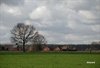 Hamont-Achel - Vandaag gezien...