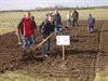 Overpelt - TIO-boompjes bij het Vlinderbos