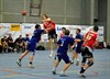 Pelt - Handbal: Sporting klopt Atomix