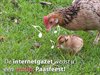 Hamont-Achel - 'n Zalige Pasen