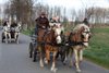 Neerpelt - Vandaag gezien...