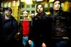 Hamont-Achel - 'Mint' en '40 Watt Band' in Dommelhof
