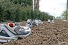 Overpelt - Fiets zondag de compostfietsroute