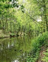 Lommel - Educatief aan de slag in De Wateringen