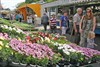 Overpelt - Weekmarkt morgen terug op... Oude Markt