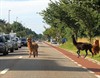 Lommel - Kom dat tegen...
