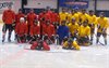 Neerpelt - Teambuilding voor judoka's