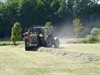 Neerpelt - Vandaag gezien