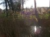 Hamont-Achel - Natuurwandeling van 'Mep Die car'