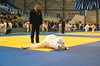 Lommel - Groot judotoernooi in De Soeverein