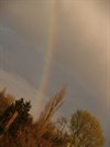 Neerpelt - Kijk, een regenboog
