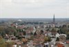 Hamont-Achel - Vandaag gezien...