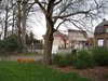 Neerpelt - De boom van verdraagzaamheid