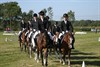 Neerpelt - Puike prestatie van ponyclub De Dravers