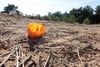 Lommel - 't Is weer voorbij, die mooie zomer