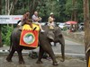 Hamont-Achel - Met vakantiegroeten uit... Indonesië