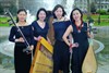 Lommel - Vanavond in De Adelberg: Silk String Quartet