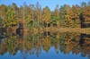 Overpelt - Een 'theatrale' boswandeling, zondag